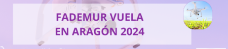 Imagen Abren en Aragón el plazo de inscripción en el curso gratuito de pilotaje...